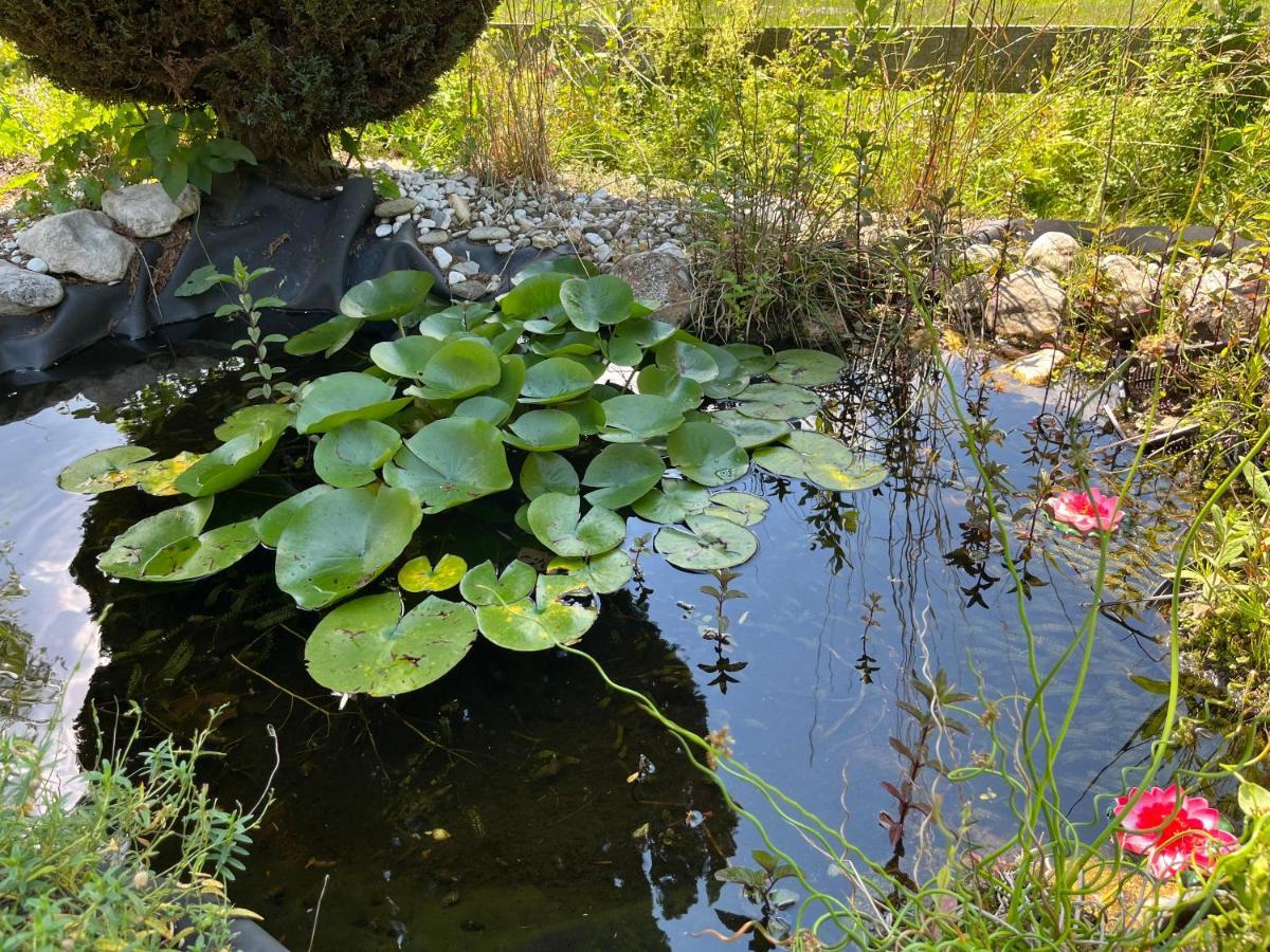 Ferienwohnungen Zum Attersee Lenzing Luaran gambar